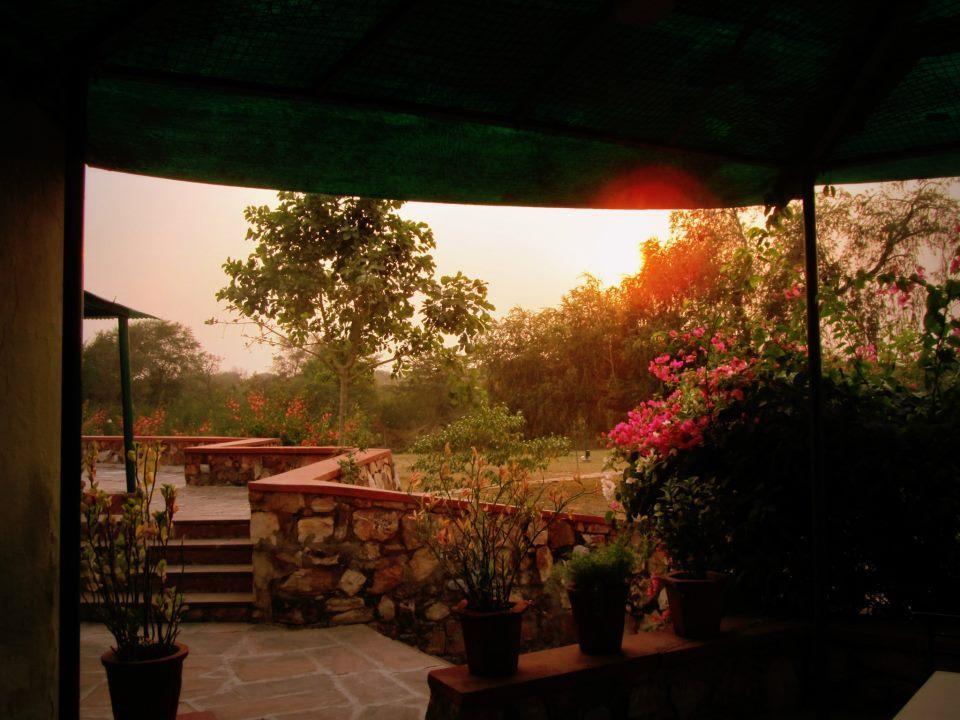 Hotel Bharatpur Ashok Ngoại thất bức ảnh