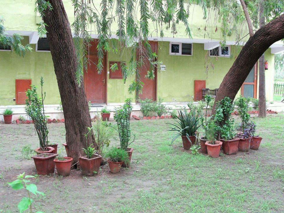 Hotel Bharatpur Ashok Ngoại thất bức ảnh