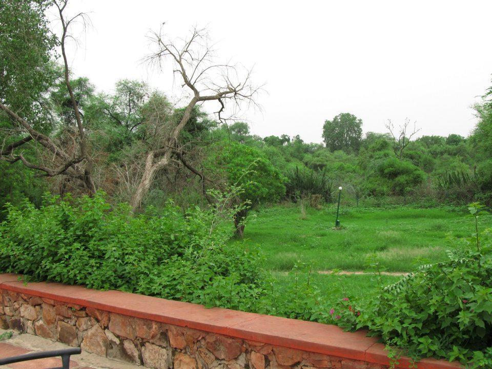 Hotel Bharatpur Ashok Ngoại thất bức ảnh