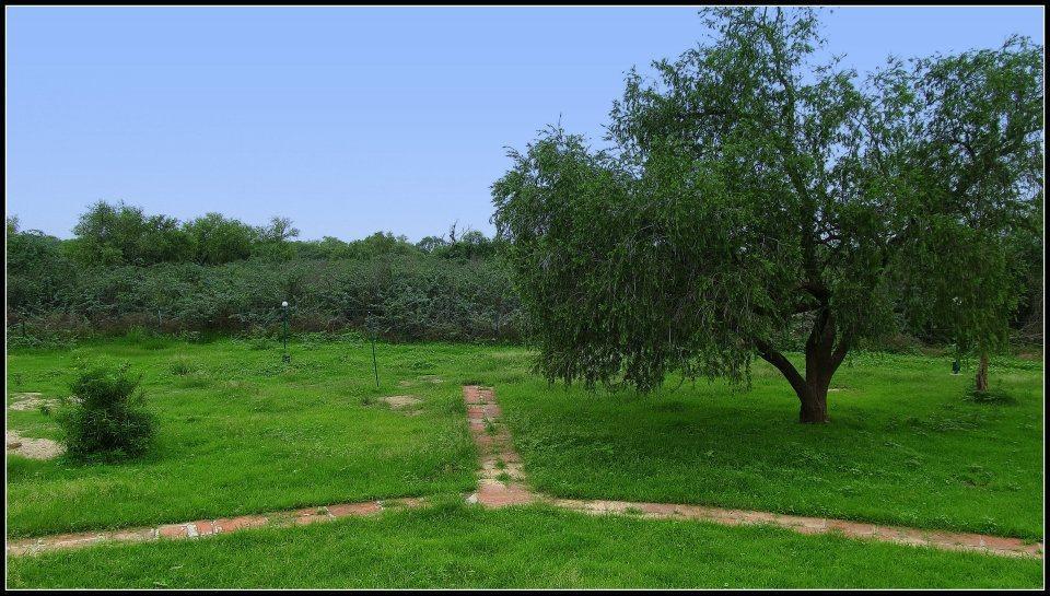 Hotel Bharatpur Ashok Ngoại thất bức ảnh